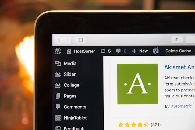 7 Tips Memilih Hosting yang Cocok untuk Website WordPress Anda