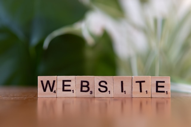 Antahost-Panduan Lengkap Syarat Domain ID untuk Website Profesional